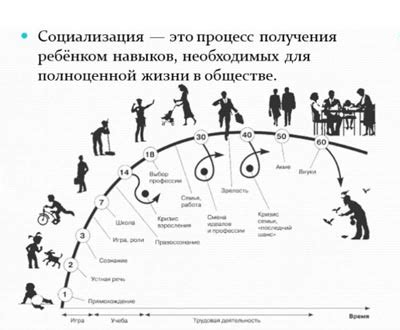 Влияние общества на восприятие