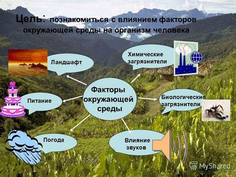 Влияние окружающей среды на генетическую передачу: роль эпигенетических изменений и факторов внешней среды