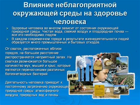 Влияние окружающей среды на процесс накопления РФП