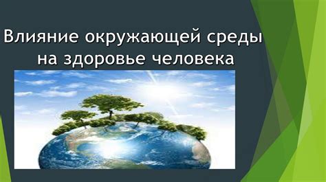 Влияние окружающей среды на скрип кровати