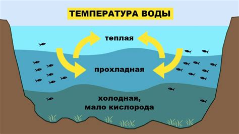 Влияние окружающей среды на температуру тела