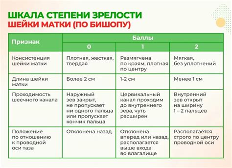 Влияние различных факторов на готовность шейки матки к родам