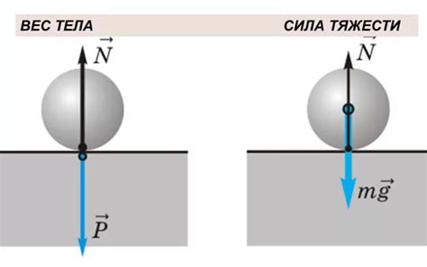 Влияние силы тяжести на вес