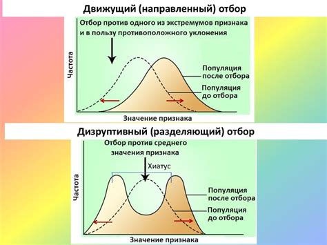 Влияние творческого характера на естественный отбор