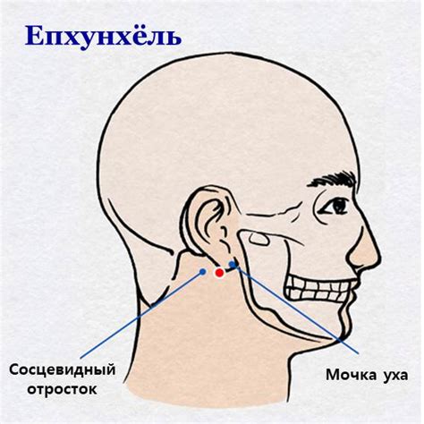 Влияние точки за мочкой уха на организм