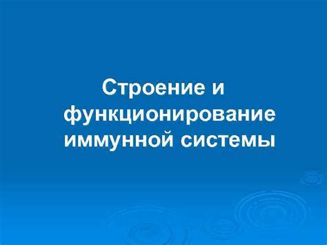 Влияние углеводов на функционирование иммунной системы