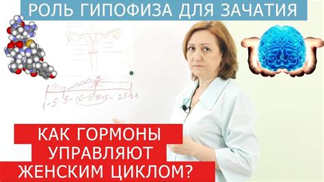 Внешние факторы и вредные вещества: как они влияют на беременность