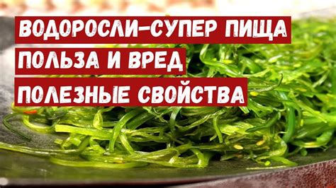 Водоросли: свойства и преимущества