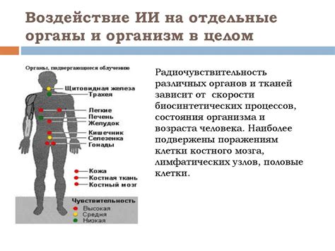 Воздействие на организм в целом