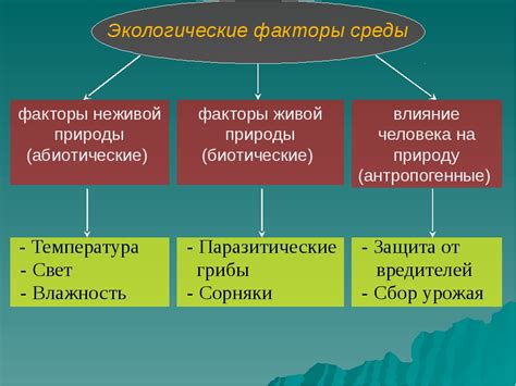 Воздействие окружающей среды: погода, температура и влажность