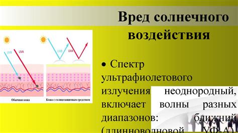 Воздействие солнечных лучей на организм