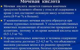 Возможные заболевания, связанные с повышенным уровнем Кр в моче 5 RBC мкл