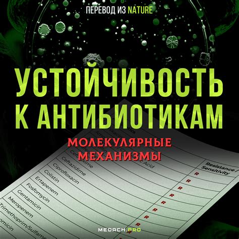 Возможные последствия устойчивости к антибиотикам