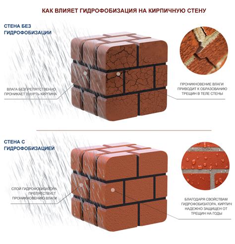 Возможные причины и последствия попадания влаги на кирпичную кладку
