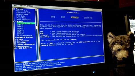 Возможные проблемы при использовании функции Boot up floppy seek в BIOS