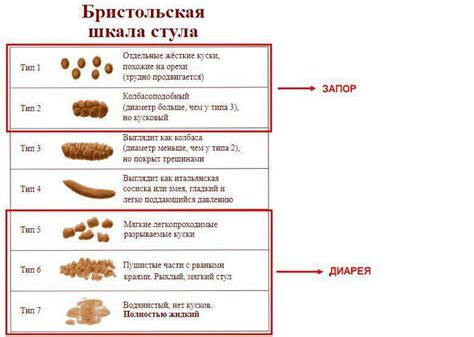 Возможные способы устранения жидкого стула у шпица: