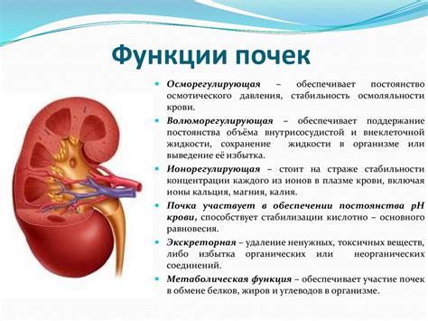 Восстановление нормальной функции почек