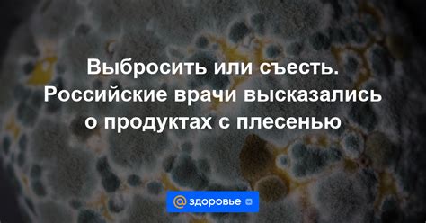 Вред, вызванный черной плесенью: здоровье и комфорт