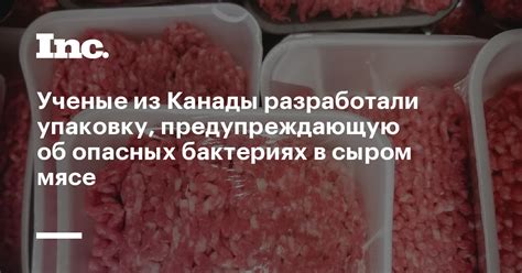 Вредные микроорганизмы в сыром мясе