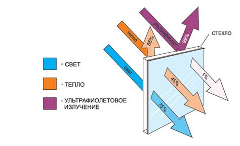 Вреды, вызываемые употреблением воскового покрытия на поверхности яблока