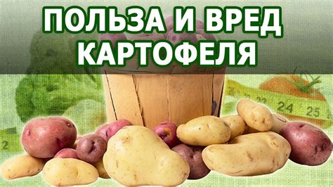 Вред для человека от картофеля с йодом