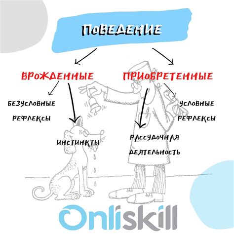 Врожденная потребность и природный инстинкт