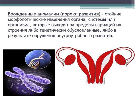 Врожденные аномалии левого яичка: основные признаки