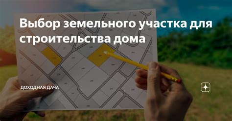 Выбор земельного участка для садоводства