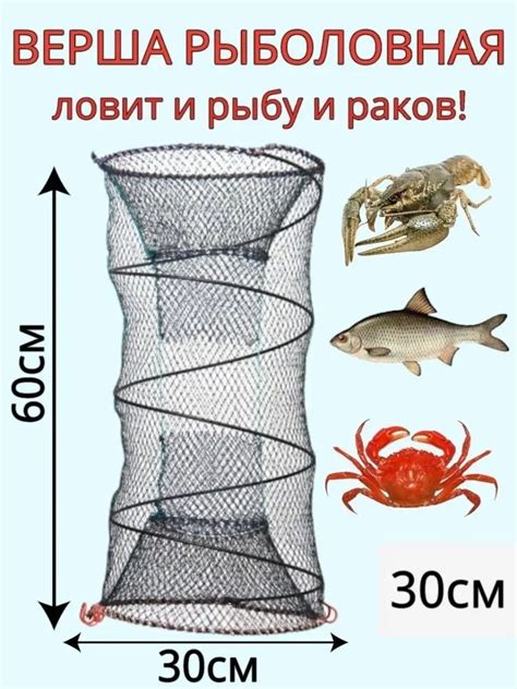 Выбор рыболовного снаряжения