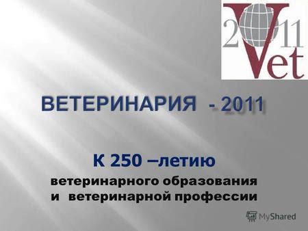 Вызовы и сложности ветеринарной профессии