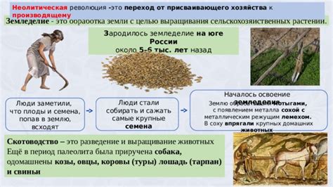 Выращивание животных и земледелие