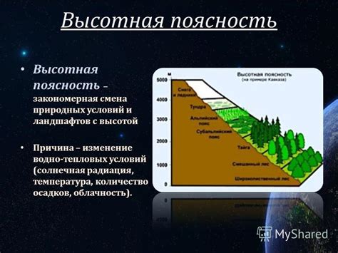 Высокая поясность: особенности и проявления