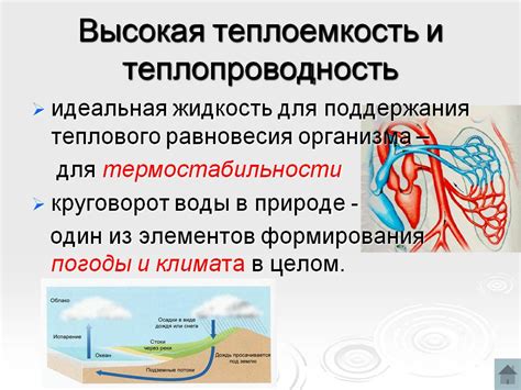 Высокая теплопроводность и давлестойкость