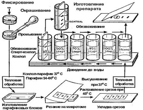 Высыхание и фиксация материала