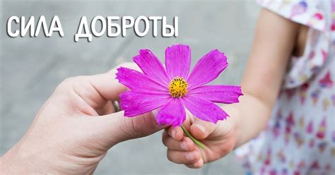 В чем заключается сила молодости?