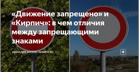 В чем отличия между керри и реймой для зимнего использования