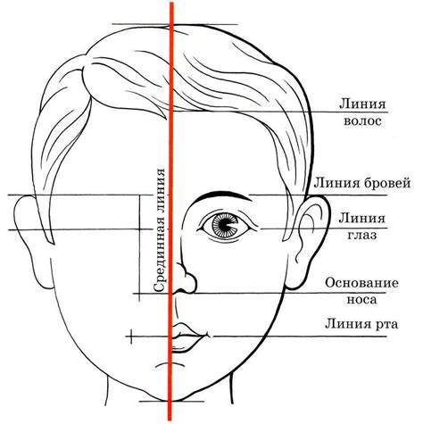 Гармония лица и носа