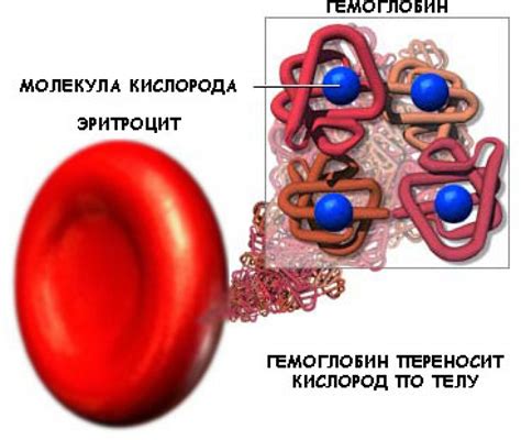 Гемоглобин 65 у мужчины: что это значит?