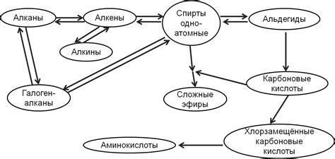 Генетическая прединдивидуальность