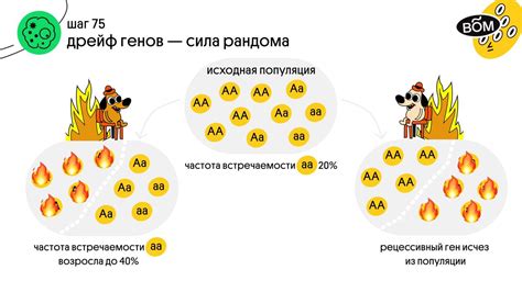 Генетический дрейф