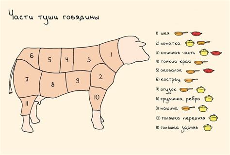 Главная часть говядины: применение и приготовление