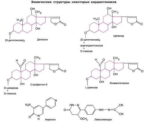 Гликозиды сердечные: особенности и действие