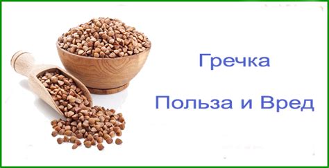 Гречка: полезности и противопоказания