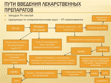 Действие препаратов на организм