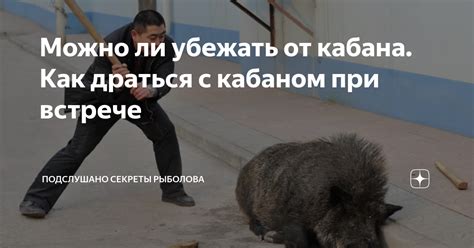 Действия, которые могут помочь в самозащите от кабана