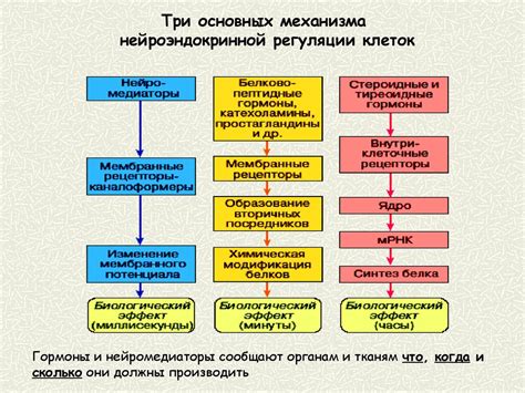 Дефекты в механизмах гормональной регуляции