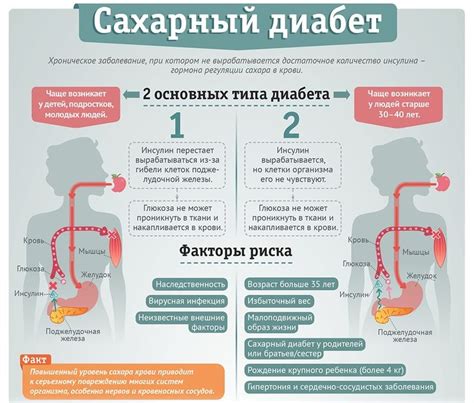 Диабет 1 и 2 типа: основные различия и нюансы лечения