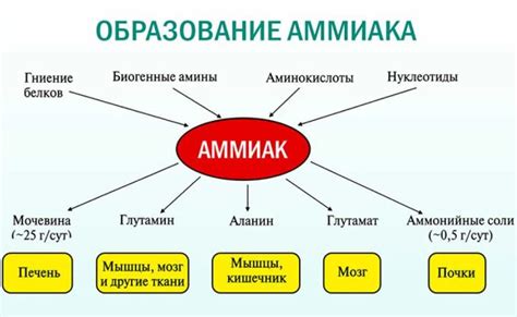 Диагностика и лечение проблем с мочевым пузырем