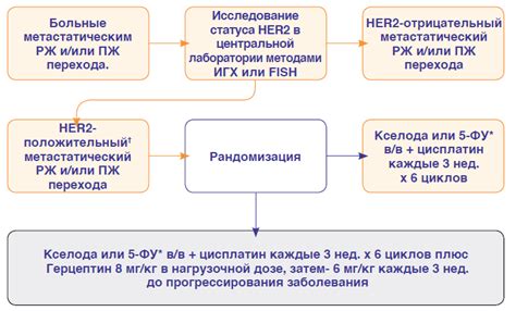 Диагностика и прогнозирование рака с HER2