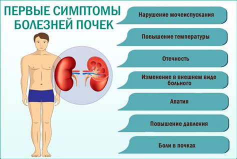 Диагностика лопнутой почки: важность своевременного выявления